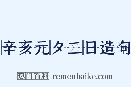 辛亥元夕二日造句是什么意思的图片